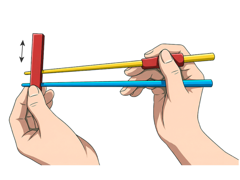 固定箸を動かすことなく作用箸は開閉させる