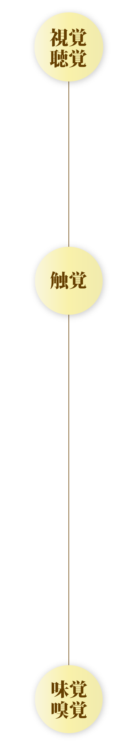 五感で習得の流れ