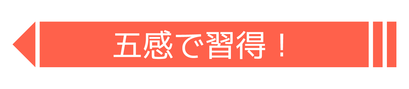 五感で習得